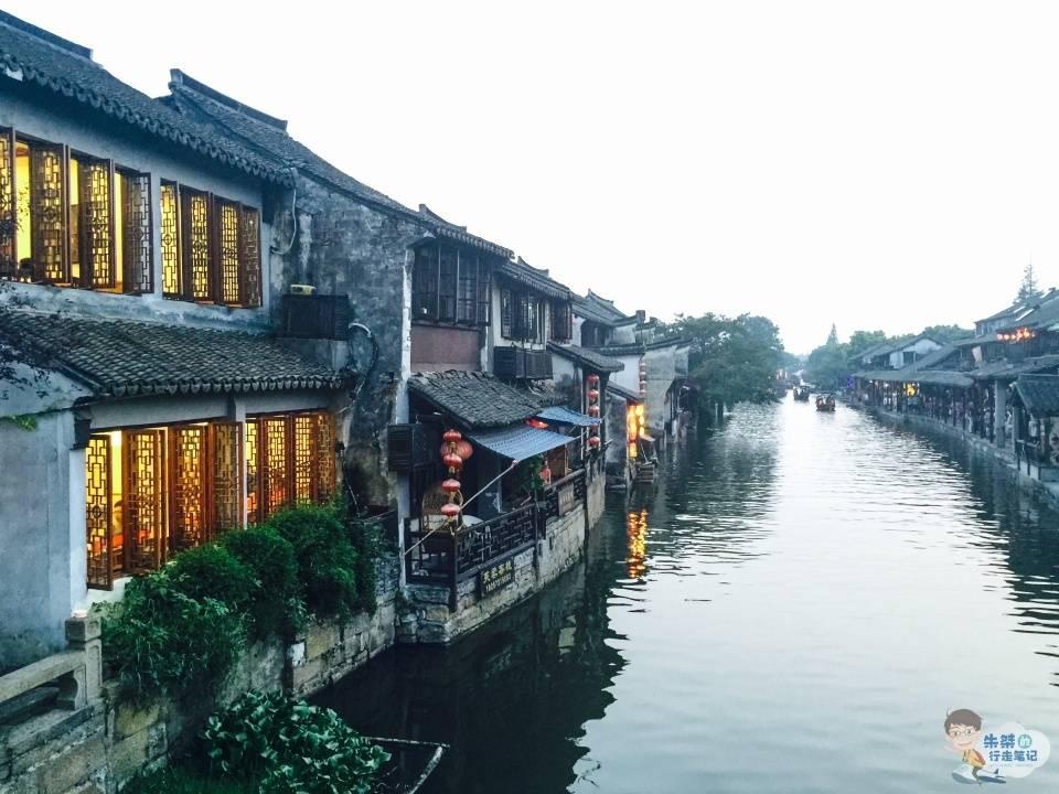 可爱猪救援2